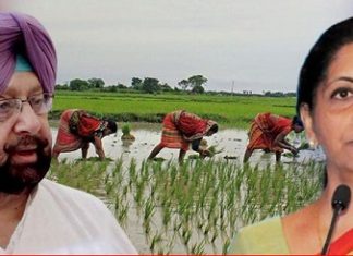 ਕੈਪਟਨ ਨੇ ਕਿਹਾ- ਵਿੱਤ ਮੰਤਰੀ ਨਿਰਮਲਾ ਸੀਤਾਰਮਨ ਦਾ ਖੇਤੀਬਾੜੀ ਲਈ ਐਲਾਨ ਜੁਮਲਿਆਂ ਤੋਂ ਸਿਵਾਏ ਕੁਝ ਨਹੀਂ
