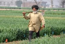 ਪੰਜਾਬ ਸਰਕਾਰ ਨੇ ਗੰਨਾ ਕਿਸਾਨਾਂ ਦੇ ਲਾਭ ਲਈ ਵੱਡਾ ਫੈਸਲਾ ਲਿਆ, 68.50 ਰੁਪਏ ਪ੍ਰਤੀ ਕੁਇੰਟਲ ਸਿੱਧੀ ਸਬਸਿਡੀ ਨੂੰ ਪ੍ਰਵਾਨਗੀ