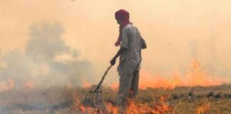 ਬਠਿੰਡਾ ‘ਚ ਪ੍ਰਦੂੁਸ਼ਣ ਕੰਟਰੋਲ ਬੋਰਡ ਨੇ ਕਣਕ ਦੀ ਨਾੜ ਨੂੰ ਅੱਗ ਲਗਾਉਣ ਵਾਲੇ 11 ਕਿਸਾਨਾਂ ਦੇ ਕੱਟੇ ਚਲਾਨ