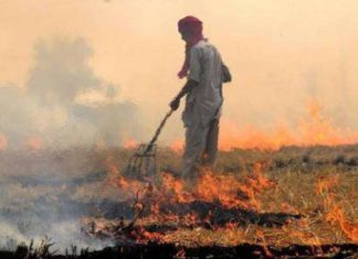 ਬਠਿੰਡਾ ‘ਚ ਪ੍ਰਦੂੁਸ਼ਣ ਕੰਟਰੋਲ ਬੋਰਡ ਨੇ ਕਣਕ ਦੀ ਨਾੜ ਨੂੰ ਅੱਗ ਲਗਾਉਣ ਵਾਲੇ 11 ਕਿਸਾਨਾਂ ਦੇ ਕੱਟੇ ਚਲਾਨ