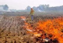 ਹੁਣ ਨਾੜ ਨੂੰ ਅੱਗ ਲਗਾਉਣ ਵਾਲਿਆਂ ਦੇ ਟਿਊਬਵੈੱਲ ਦੇ ਬਿਜਲੀ ਕੁਨੈਕਸ਼ਨ ਕੱਟੇ ਜਾਣਗੇ