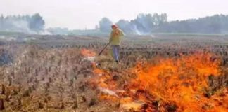 ਹੁਣ ਨਾੜ ਨੂੰ ਅੱਗ ਲਗਾਉਣ ਵਾਲਿਆਂ ਦੇ ਟਿਊਬਵੈੱਲ ਦੇ ਬਿਜਲੀ ਕੁਨੈਕਸ਼ਨ ਕੱਟੇ ਜਾਣਗੇ