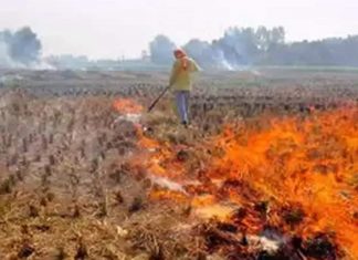 ਹੁਣ ਨਾੜ ਨੂੰ ਅੱਗ ਲਗਾਉਣ ਵਾਲਿਆਂ ਦੇ ਟਿਊਬਵੈੱਲ ਦੇ ਬਿਜਲੀ ਕੁਨੈਕਸ਼ਨ ਕੱਟੇ ਜਾਣਗੇ