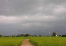 ਪੰਜਾਬ ਦੇ ਮੌਸਮ ਦਾ ਹਾਲ – ਕਈ ਜ਼ਿਲ੍ਹਿਆਂ ‘ਚ ਮੀਂਹ ਤੇ ਹਨੇਰੀ ਆਉਣ ਦਾ ਅਲਰਟ