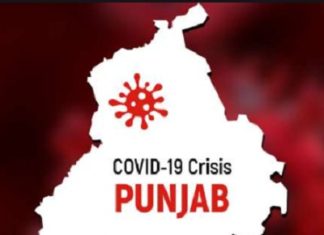 ਲੌਕਡਾਊਨ ਦੌਰਾਨ ਉਲੰਘਣਾ ਕਰਨ ‘ਤੇ 100 ਕੈਮਿਸਟਾਂ ਦੇ ਲਾਇਸੈਂਸ ਰੱਦ, 25 ਲੱਖ ਰੁਪਏ ਦੀਆਂ ਗੈਰ ਕਾਨੂੰਨੀ ਦਵਾਈਆਂ ਵੀ ਜ਼ਬਤ