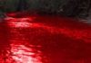 ਮਹਾਰਾਸ਼ਟਰ ਦੀ ਇਕ ਝੀਲ ਦਾ ਪਾਣੀ ਹੋਇਆ ਸੂਹਾ ਲਾਲ, ਵਿਗਿਆਨ ਵੀ ਹੈਰਾਨ