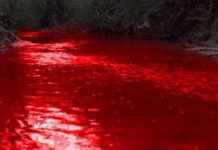 ਮਹਾਰਾਸ਼ਟਰ ਦੀ ਇਕ ਝੀਲ ਦਾ ਪਾਣੀ ਹੋਇਆ ਸੂਹਾ ਲਾਲ, ਵਿਗਿਆਨ ਵੀ ਹੈਰਾਨ