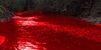 ਮਹਾਰਾਸ਼ਟਰ ਦੀ ਇਕ ਝੀਲ ਦਾ ਪਾਣੀ ਹੋਇਆ ਸੂਹਾ ਲਾਲ, ਵਿਗਿਆਨ ਵੀ ਹੈਰਾਨ