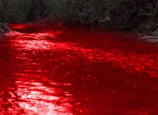 ਮਹਾਰਾਸ਼ਟਰ ਦੀ ਇਕ ਝੀਲ ਦਾ ਪਾਣੀ ਹੋਇਆ ਸੂਹਾ ਲਾਲ, ਵਿਗਿਆਨ ਵੀ ਹੈਰਾਨ