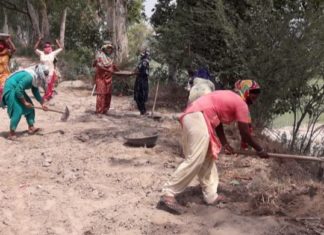 ਜਲੰਧਰ – ਬਰਸਾਤ ਤੋਂ ਪਹਿਲਾਂ ਸਤਲੁਜ ਦੇ ਕੰਢੇ ਮਜ਼ਬੂਤ ਕਰਨ ਲਈ ਸਬ ਡਵੀਜ਼ਨ ਫਿਲੌਰ, ਨਕੋਦਰ ਤੇ ਸ਼ਾਹਕੋਟ ‘ਚ ਮਗਨਰੇਗਾ ਕਾਮਿਆਂ ਨੂੰ ਲਾਇਆ