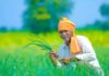 ਮੋਦੀ ਸਰਕਾਰ ਪਾਉਣ ਜਾ ਰਹੀ ਕਿਸਾਨ ਦੇ ਖਾਤਿਆਂ ‘ਚ ਪੈਸੇ, ਇੰਝ ਚੈਕ ਕਰੋ ਕਿਵੇ ਮਿਲਣਗੇ ਪੈਸੇ