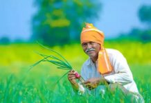 ਮੋਦੀ ਸਰਕਾਰ ਪਾਉਣ ਜਾ ਰਹੀ ਕਿਸਾਨ ਦੇ ਖਾਤਿਆਂ ‘ਚ ਪੈਸੇ, ਇੰਝ ਚੈਕ ਕਰੋ ਕਿਵੇ ਮਿਲਣਗੇ ਪੈਸੇ