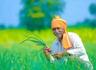 ਮੋਦੀ ਸਰਕਾਰ ਪਾਉਣ ਜਾ ਰਹੀ ਕਿਸਾਨ ਦੇ ਖਾਤਿਆਂ ‘ਚ ਪੈਸੇ, ਇੰਝ ਚੈਕ ਕਰੋ ਕਿਵੇ ਮਿਲਣਗੇ ਪੈਸੇ