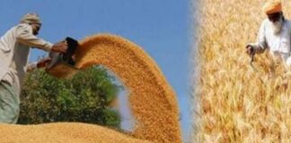 ਕੇਂਦਰ ਸਰਕਾਰ ਵਧਾ ਸਕਦੀ ਹੈ MSP, ਕਣਕ ਦਾ ਭਾਅ 85 ਰੁਪਏ ਪ੍ਰਤੀ ਕੁਇੰਟਲ ਹੋਣਾ ਸੰਭਵ