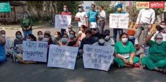 ਕੋਰੋਨਾ ਮਰੀਜ਼ਾਂ ਦੀ ਜ਼ਿੰਦਗੀ ਬਚਾਉਣ ਵਾਲੇ ਵਲੰਟੀਅਰਾਂ ਨੂੰ ਨਹੀਂ ਮਿਲੀ 4 ਮਹੀਨਿਆਂ ਤੋਂ ਤਨਖ਼ਾਹ