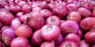 ਕਿਸਾਨ ਮੰਦਹਾਲੀ : ਵਪਾਰੀ ਕਿਸਾਨਾਂ ਤੋਂ ਖਰੀਦੇ ਨੇ 1 ਰੁਪਏ ਕਿਲੋ, ਅੱਗੇ ਵੇਚਦੇ ਨੇ 100 ਰੁਪਏ ਕਿਲੋ ਪਿਆਜ਼