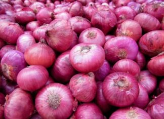 ਕਿਸਾਨ ਮੰਦਹਾਲੀ : ਵਪਾਰੀ ਕਿਸਾਨਾਂ ਤੋਂ ਖਰੀਦੇ ਨੇ 1 ਰੁਪਏ ਕਿਲੋ, ਅੱਗੇ ਵੇਚਦੇ ਨੇ 100 ਰੁਪਏ ਕਿਲੋ ਪਿਆਜ਼