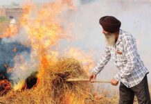 ਹੁਣ ਮੋਦੀ ਸਰਕਾਰ ਪਰਾਲੀ ਸਾੜਨ ਖਿਲਾਫ਼ ਬਣਾਏਗੀ ਨਵਾਂ ਕਾਨੂੰਨ