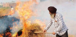 ਹੁਣ ਮੋਦੀ ਸਰਕਾਰ ਪਰਾਲੀ ਸਾੜਨ ਖਿਲਾਫ਼ ਬਣਾਏਗੀ ਨਵਾਂ ਕਾਨੂੰਨ