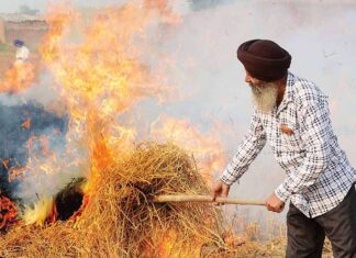 ਹੁਣ ਮੋਦੀ ਸਰਕਾਰ ਪਰਾਲੀ ਸਾੜਨ ਖਿਲਾਫ਼ ਬਣਾਏਗੀ ਨਵਾਂ ਕਾਨੂੰਨ