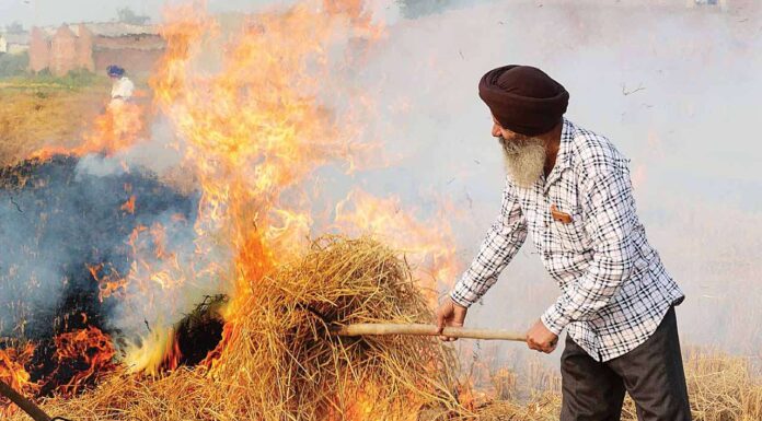 ਹੁਣ ਮੋਦੀ ਸਰਕਾਰ ਪਰਾਲੀ ਸਾੜਨ ਖਿਲਾਫ਼ ਬਣਾਏਗੀ ਨਵਾਂ ਕਾਨੂੰਨ