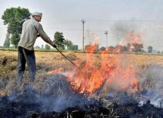 ਪੰਜਾਬ ਖੇਤੀਬਾੜੀ ਯੂਨਵਰਸਿਟੀ ਦਾ ਦਾਆਵਾ, ਪੰਜਾਬ ਦੀ ਪਰਾਲੀ ਨਹੀਂ ਫੈਲਾਉਂਦੀ ਦਿੱਲੀ ‘ਚ ਪ੍ਰਦੂਸ਼ਣ