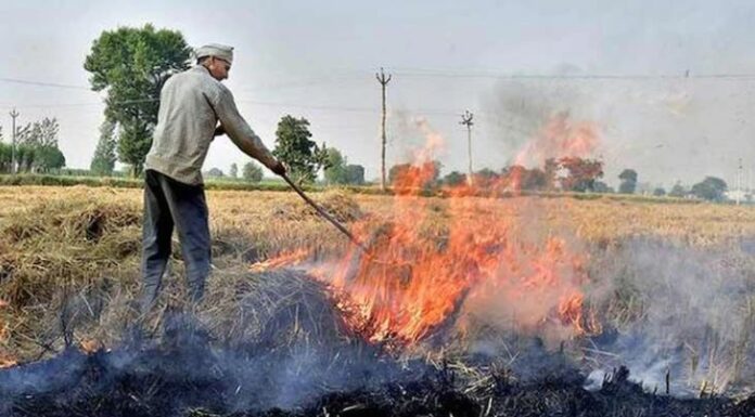 ਪੰਜਾਬ ਦੀ ਹਵਾਂ ਦਿੱਲੀ ਨਾਲੋਂ ਸਾਫ਼, ਫਿਰ ਪੰਜਾਬ ਨੂੰ ਦਿੱਲੀ ਦੇ ਪ੍ਰਦੂਸ਼ਣ ਦਾ ਦੋਸ਼ੀ ਕਿਉਂ ਬਣਾਇਆ ਜਾ ਰਿਹਾ ?