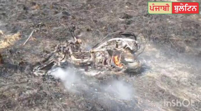 ਤਰਨਤਾਰਨ : ਪਰਾਲੀ ਦੀ ਅੱਗ ਨਾਲ ਭਿਆਨਕ ਹਾਦਸਾ – ਬਜ਼ੁਰਗ ਔਰਤ ਐਕਟਿਵਾ ਸਣੇ ਸੜ੍ਹ ਕੇ ਸੁਆਹ, ਦੇਖੋ ਵੀਡੀਓ