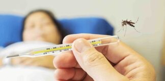 ਕੋਰੋਨਾ ਤੋਂ ਬਾਅਦ ਪੰਜਾਬ ‘ਚ ਡੇਂਗੂ ਦਾ ਪ੍ਰਭਾਵ ਵਧਿਆ