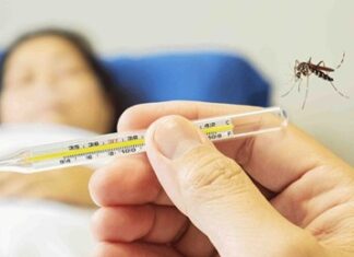 ਕੋਰੋਨਾ ਤੋਂ ਬਾਅਦ ਪੰਜਾਬ ‘ਚ ਡੇਂਗੂ ਦਾ ਪ੍ਰਭਾਵ ਵਧਿਆ