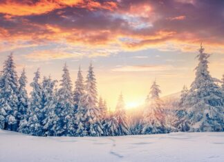 ਅੱਜ ਦਾ ਸੋਮਵਾਰ 2020 ਦਾ ਸਭ ਤੋਂ ਛੋਟਾ ਦਿਨ, ਜਾਣੋ ਕਿੰਨੇ ਘੰਟਿਆਂ ਦਾ ਹੋਵੇਗਾ ਦਿਨ