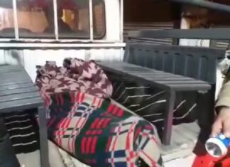 ਪੈਸਿਆਂ ਦੇ ਝਗੜੇ ‘ਚ ਦੋਹਤੇ ਨੇ ਕੀਤਾ 75 ਸਾਲ ਦੀ ਨਾਨੀ ਦਾ ਕਤਲ