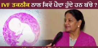 ਕੀ ਤੁਸੀਂ ਜਾਣਦੇ ਹੋ IVF ਤਕਨੀਕ ਨਾਲ ਬੱਚੇ ਕਿਵੇਂ ਪੈਦਾ ਹੁੰਦੇ ਹਨ…
