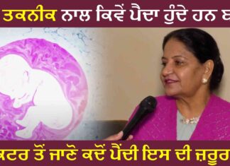 ਕੀ ਤੁਸੀਂ ਜਾਣਦੇ ਹੋ IVF ਤਕਨੀਕ ਨਾਲ ਬੱਚੇ ਕਿਵੇਂ ਪੈਦਾ ਹੁੰਦੇ ਹਨ…