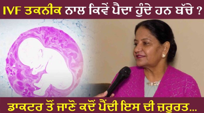 ਕੀ ਤੁਸੀਂ ਜਾਣਦੇ ਹੋ IVF ਤਕਨੀਕ ਨਾਲ ਬੱਚੇ ਕਿਵੇਂ ਪੈਦਾ ਹੁੰਦੇ ਹਨ…