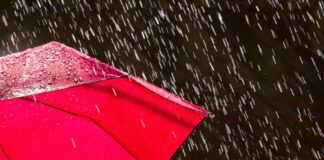 ਮੀਂਹ ਤੋਂ ਬਾਅਦ ਜਲੰਧਰ ਵਿੱਚ ਟੈਂਪਰੇਚਰ ਘੱਟਿਆ, ਪੜ੍ਹੋ ਅੱਜਰ ਅਤੇ ਅਗਲੇ ਹਫਤੇ ਤੱਕ ਕਿਹੋ-ਜਿਹਾ ਰਹੇਗਾ ਮੌਸਮ