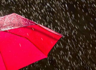 ਮੀਂਹ ਤੋਂ ਬਾਅਦ ਜਲੰਧਰ ਵਿੱਚ ਟੈਂਪਰੇਚਰ ਘੱਟਿਆ, ਪੜ੍ਹੋ ਅੱਜਰ ਅਤੇ ਅਗਲੇ ਹਫਤੇ ਤੱਕ ਕਿਹੋ-ਜਿਹਾ ਰਹੇਗਾ ਮੌਸਮ