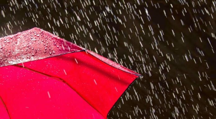 ਮੀਂਹ ਤੋਂ ਬਾਅਦ ਜਲੰਧਰ ਵਿੱਚ ਟੈਂਪਰੇਚਰ ਘੱਟਿਆ, ਪੜ੍ਹੋ ਅੱਜਰ ਅਤੇ ਅਗਲੇ ਹਫਤੇ ਤੱਕ ਕਿਹੋ-ਜਿਹਾ ਰਹੇਗਾ ਮੌਸਮ