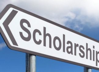 ਪੰਜਾਬ ਦੇ ਗ੍ਰੈਜੂਏਟ ਨੌਜਵਾਨਾਂ ਲਈ ਸੁਨਹਿਰੀ ਮੌਕਾ : ਮਹਾਤਮਾ ਗਾਂਧੀ ਫੈਲੋਸ਼ਿਪ ਕਰੋ ਅਪਲਾਈ, 50 ਹਜ਼ਾਰ ਰੁਪਏ ਮਹੀਨਾ ਮਿਲੇਗਾ ਭੱਤਾ