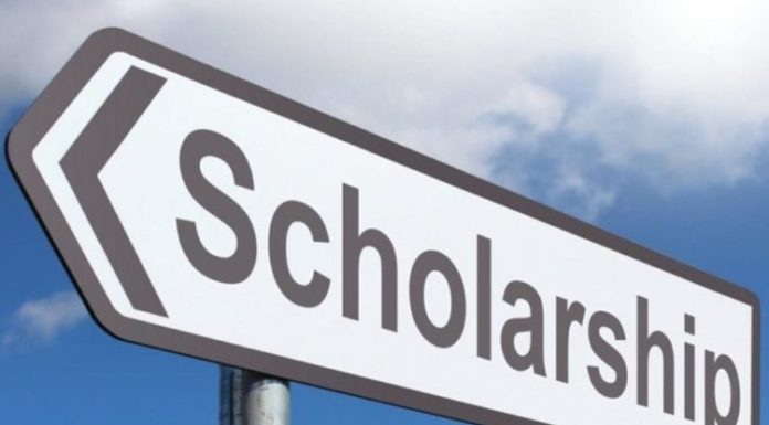 ਪੰਜਾਬ ਦੇ ਗ੍ਰੈਜੂਏਟ ਨੌਜਵਾਨਾਂ ਲਈ ਸੁਨਹਿਰੀ ਮੌਕਾ : ਮਹਾਤਮਾ ਗਾਂਧੀ ਫੈਲੋਸ਼ਿਪ ਕਰੋ ਅਪਲਾਈ, 50 ਹਜ਼ਾਰ ਰੁਪਏ ਮਹੀਨਾ ਮਿਲੇਗਾ ਭੱਤਾ