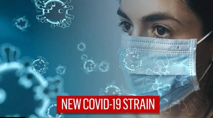 ਨਵੇਂ ਕੋਰੋਨਾ ਦੇ 2 ਮਰੀਜ਼ ਜਲੰਧਰ ‘ਚ ਵੀ ਮਿਲੇ