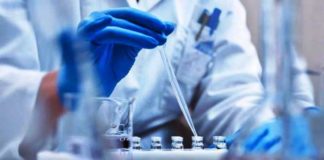 ਪੰਜਾਬ ਦੇ 81 ਫੀਸਦੀ ਕੋਰੋਨਾ ਮਰੀਜਾਂ ਵਿੱਚ ਯੂਕੇ ਦਾ ਵਾਇਰਸ, ਇਹ ਨੌਜਵਾਨਾਂ ਨੂੰ ਜ਼ਿਆਦਾ ਪ੍ਰਭਾਵਤ ਕਰ ਰਿਹੈ – ਕੈਪਟਨ ਅਮਰਿੰਦਰ ਸਿੰਘ