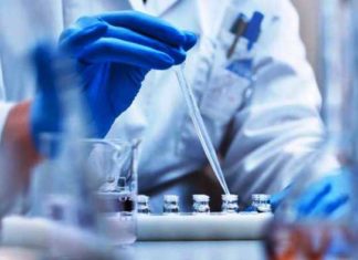 ਪੰਜਾਬ ਦੇ 81 ਫੀਸਦੀ ਕੋਰੋਨਾ ਮਰੀਜਾਂ ਵਿੱਚ ਯੂਕੇ ਦਾ ਵਾਇਰਸ, ਇਹ ਨੌਜਵਾਨਾਂ ਨੂੰ ਜ਼ਿਆਦਾ ਪ੍ਰਭਾਵਤ ਕਰ ਰਿਹੈ – ਕੈਪਟਨ ਅਮਰਿੰਦਰ ਸਿੰਘ