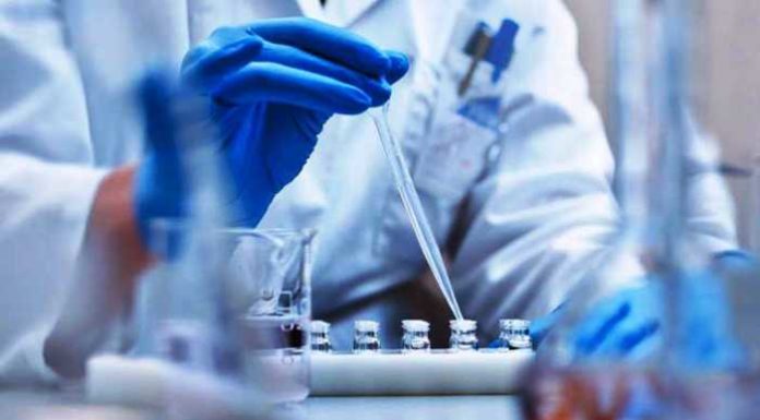 ਪੰਜਾਬ ਦੇ 81 ਫੀਸਦੀ ਕੋਰੋਨਾ ਮਰੀਜਾਂ ਵਿੱਚ ਯੂਕੇ ਦਾ ਵਾਇਰਸ, ਇਹ ਨੌਜਵਾਨਾਂ ਨੂੰ ਜ਼ਿਆਦਾ ਪ੍ਰਭਾਵਤ ਕਰ ਰਿਹੈ – ਕੈਪਟਨ ਅਮਰਿੰਦਰ ਸਿੰਘ