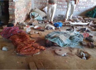 ਪਿਓ ਅਤੇ ਭਰਾ ਦੀ ਮੌਤ ਦਾ ਬਦਲਾ ਲੈਣ ਲਈ ਜਲੰਧਰ ‘ਚ ਹੋਇਆ ਸੀ ਡਬਲ ਮਰਡਰ