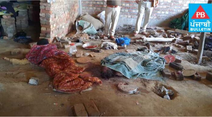 ਪਿਓ ਅਤੇ ਭਰਾ ਦੀ ਮੌਤ ਦਾ ਬਦਲਾ ਲੈਣ ਲਈ ਜਲੰਧਰ ‘ਚ ਹੋਇਆ ਸੀ ਡਬਲ ਮਰਡਰ