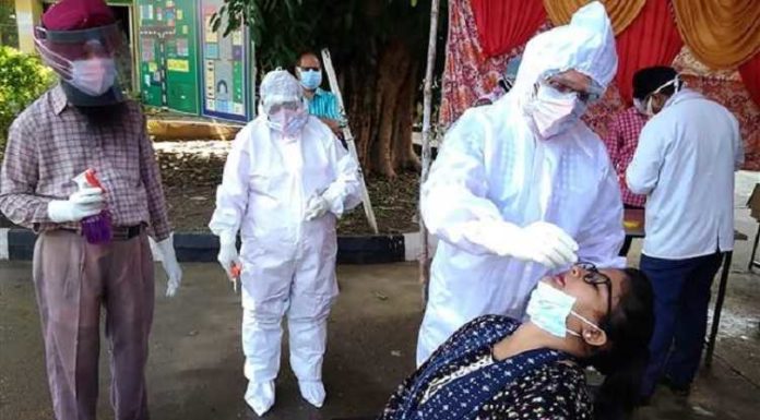 ਜਲੰਧਰ ‘ਚ 901 ਕੋਰੋਨਾ ਕੇਸ, 12 ਮੌਤਾਂ