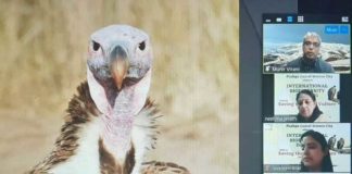 ਕੁਦਰਤੀ ਵਾਤਾਵਰਣ ਨੂੰ ਸਾਫ਼ ਕਰਨ ‘ਚ ਸਹਾਇਕ ਗਿਰਝਾਂ ਨੂੰ ਬਚਾਉਣਾ ਸਮੇਂ ਮੁੱਖ ਲੋੜ