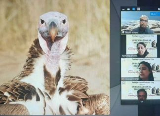 ਕੁਦਰਤੀ ਵਾਤਾਵਰਣ ਨੂੰ ਸਾਫ਼ ਕਰਨ ‘ਚ ਸਹਾਇਕ ਗਿਰਝਾਂ ਨੂੰ ਬਚਾਉਣਾ ਸਮੇਂ ਮੁੱਖ ਲੋੜ