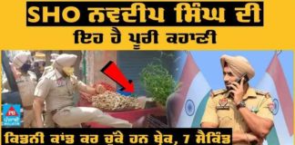 ਸਬਜ਼ੀ ਦੇ ਟੋਕਰੇ ਨੂੰ ਲੱਤ ਮਾਰ ਕੇ ਸਸਪੈਂਡ ਹੋਏ SHO ਨਵਦੀਪ ਦੀ ਪੂਰੀ ਕਹਾਣੀ, ਜਲੰਧਰ ਦਾ ਮਸ਼ਹੂਰ ਕਿਡਨੀ ਕਾਂਡ ਬ੍ਰੇਕ ਕਰ ਚੁੱਕੇ ਹਨ